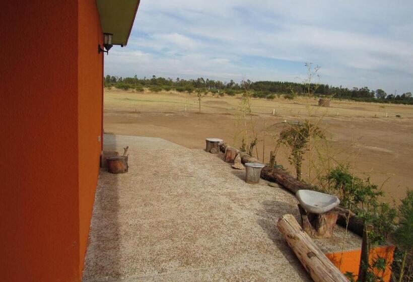 带露台的套间, Willy S Country Club Cauquenes