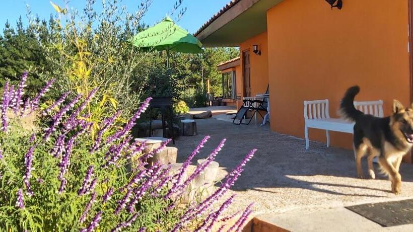 테라스 스위트, Willy S Country Club Cauquenes