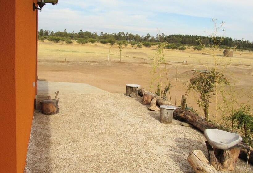 سوئیت با بالکن, Willy S Country Club Cauquenes