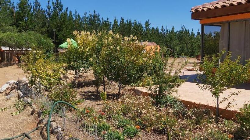 豪华套房, Willy S Country Club Cauquenes