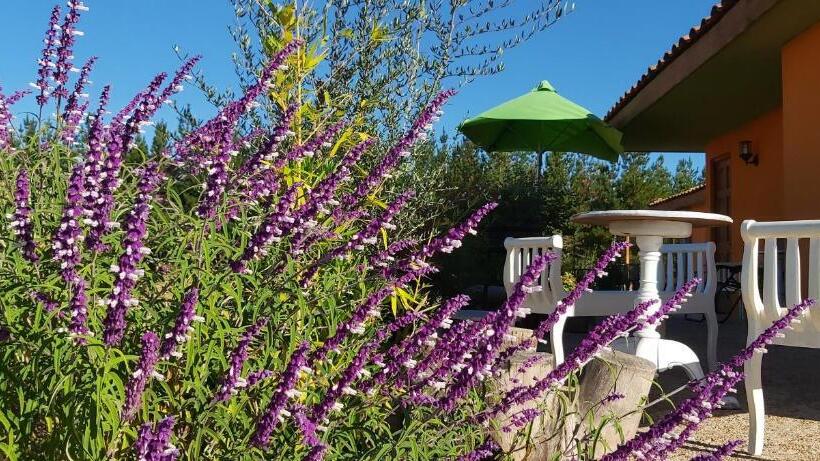 발코니가 있는 스위트, Willy S Country Club Cauquenes