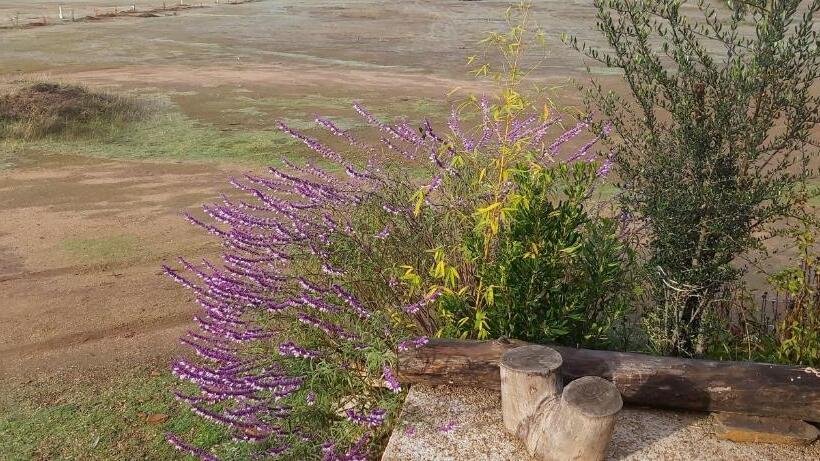 带阳台套房, Willy S Country Club Cauquenes