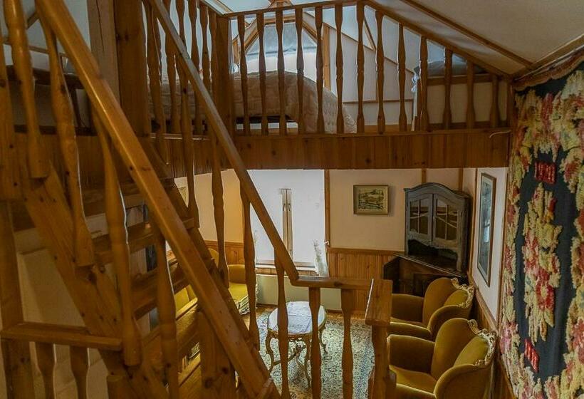 חדר סטנדרט, Aurantola