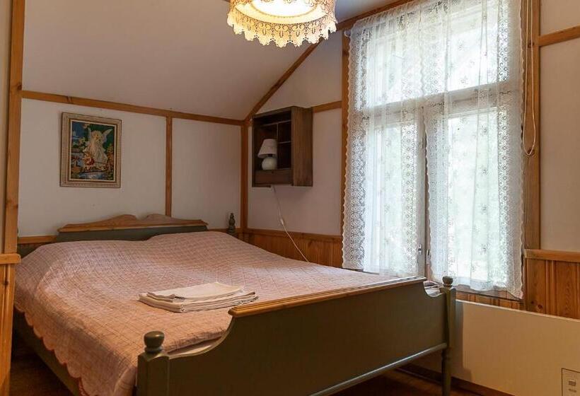 Номер Стандарт, Aurantola