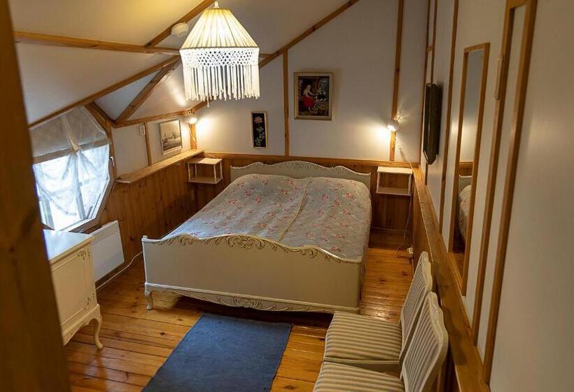 חדר סטנדרט, Aurantola