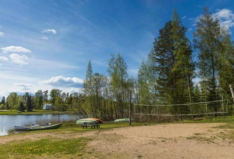 חדר סטנדרט, Aurantola