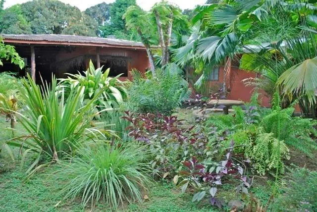 スタンダードルーム, Los Mineros Guesthouse