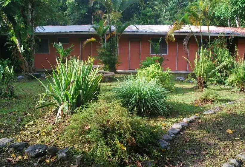 スタンダードルーム, Los Mineros Guesthouse