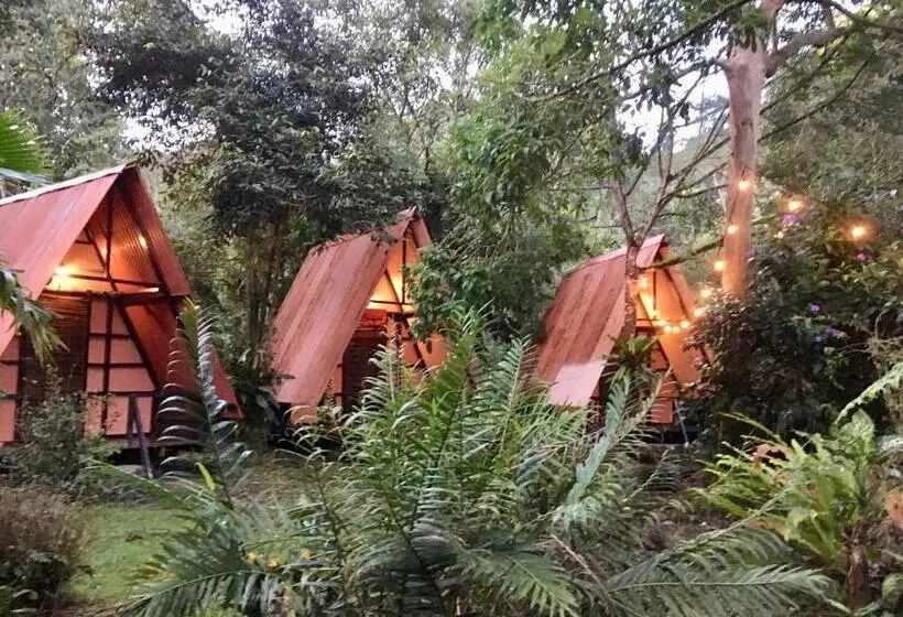 バス共有のスタンダードルーム, Los Mineros Guesthouse