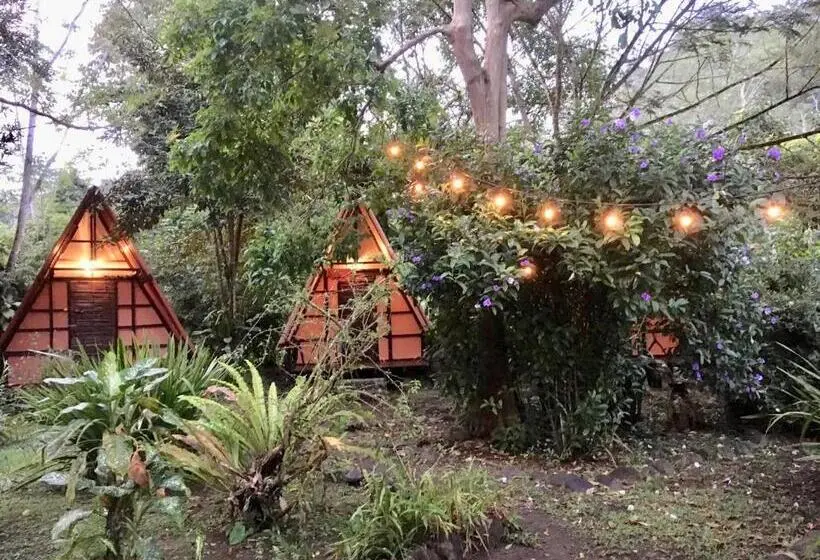 バス共有のスタンダードルーム, Los Mineros Guesthouse