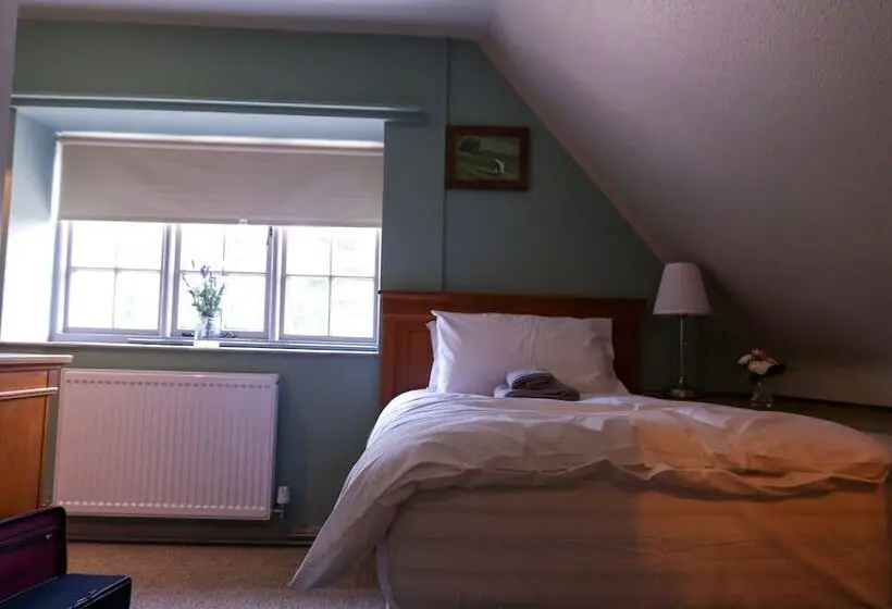 スタンダードシングルルーム, The Hollybush Inn And B&b