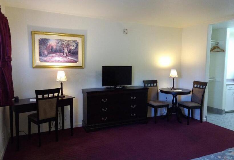 غرفة قياسية سرير كينج لذوى الإحتياجات الخاصة, Travelers Motel