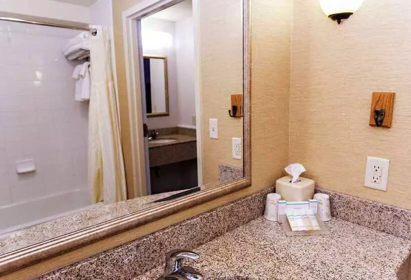اتاق استاندارد با چشم‌انداز, Hilton Niagara Falls/fallsview Hotel & Suites