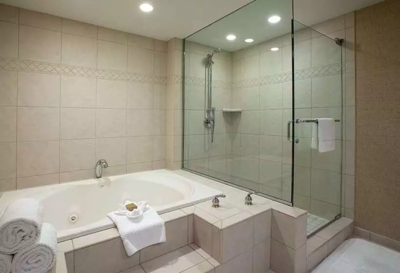 اتاق استاندارد, Hilton Niagara Falls/fallsview Hotel & Suites