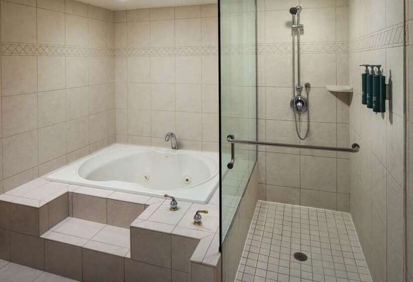 スタンダードルーム, Hilton Niagara Falls/fallsview Hotel & Suites