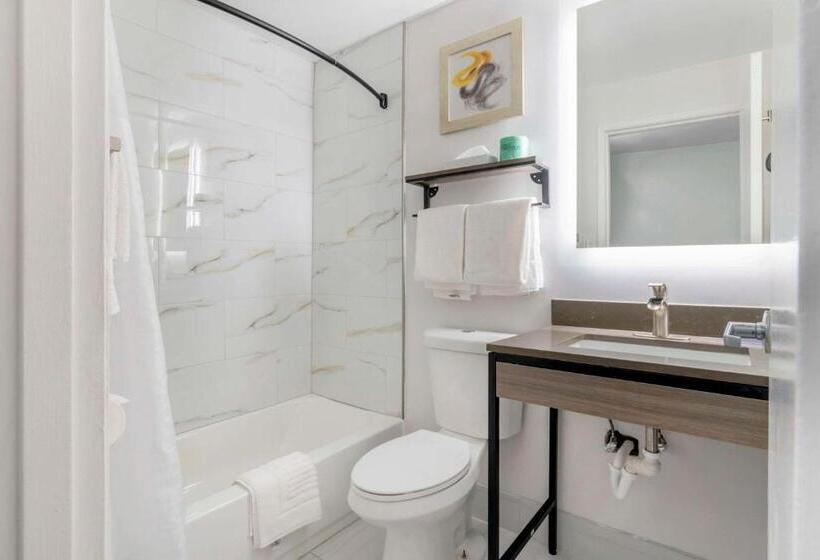 غرفة قياسية رباعية, Comfort Inn