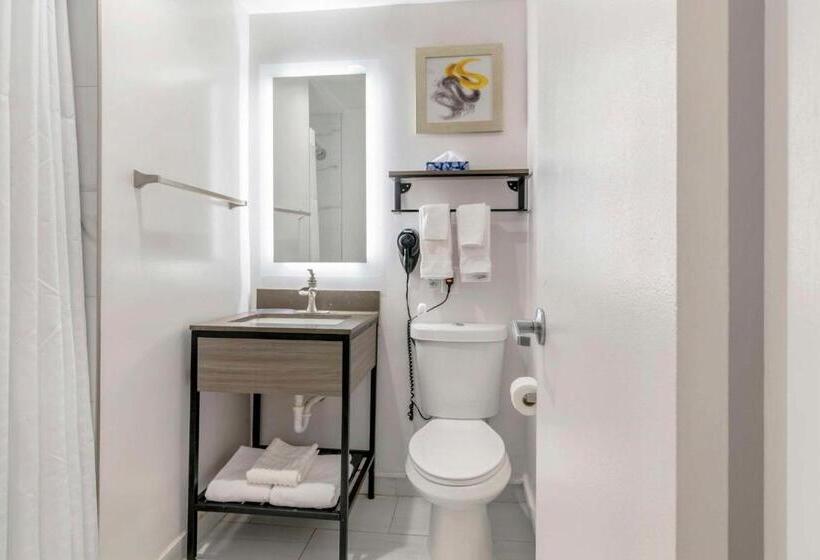 غرفة قياسية سرير كينج, Comfort Inn