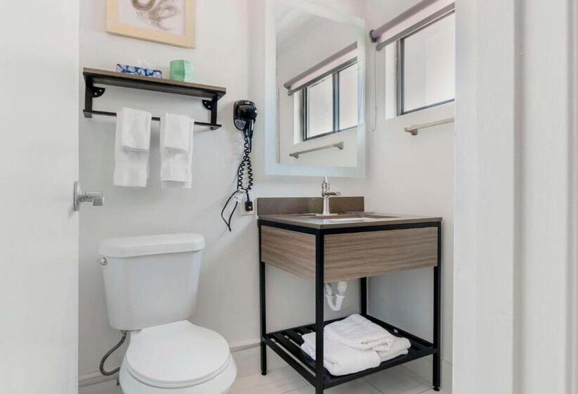 标准间, Comfort Inn
