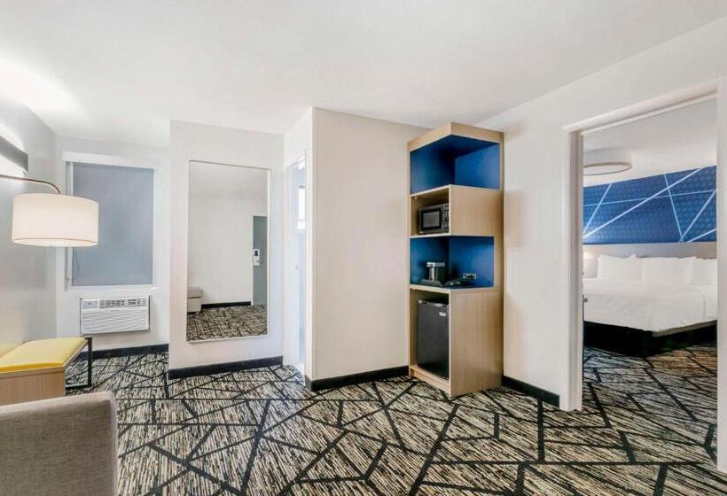 带大床的套房, Comfort Inn