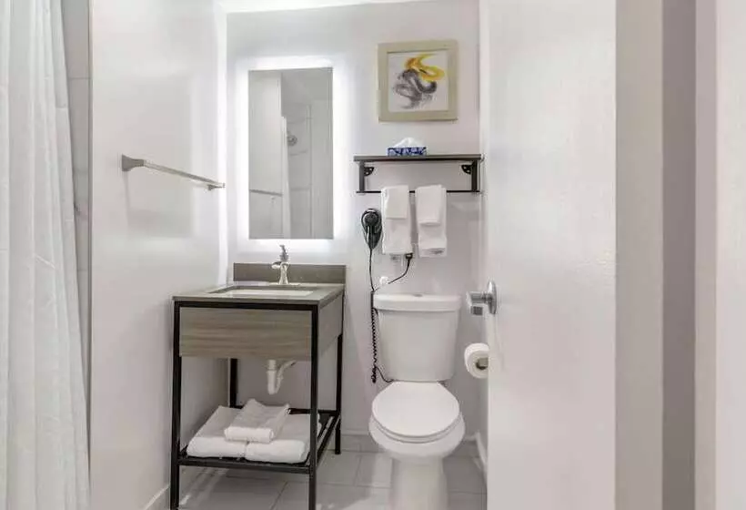 スイート, Comfort Inn
