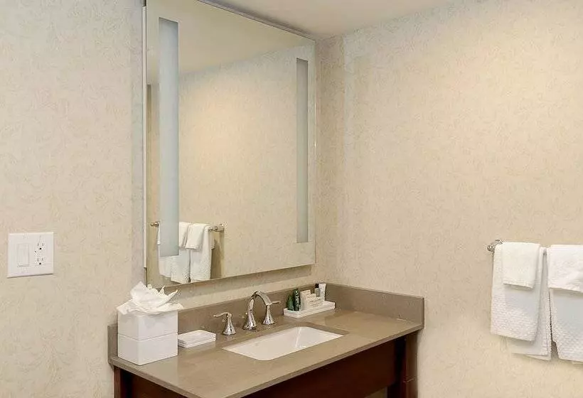 اتاق استاندارد با 2 تخت دوبل, Hilton Niagara Falls/fallsview Hotel & Suites