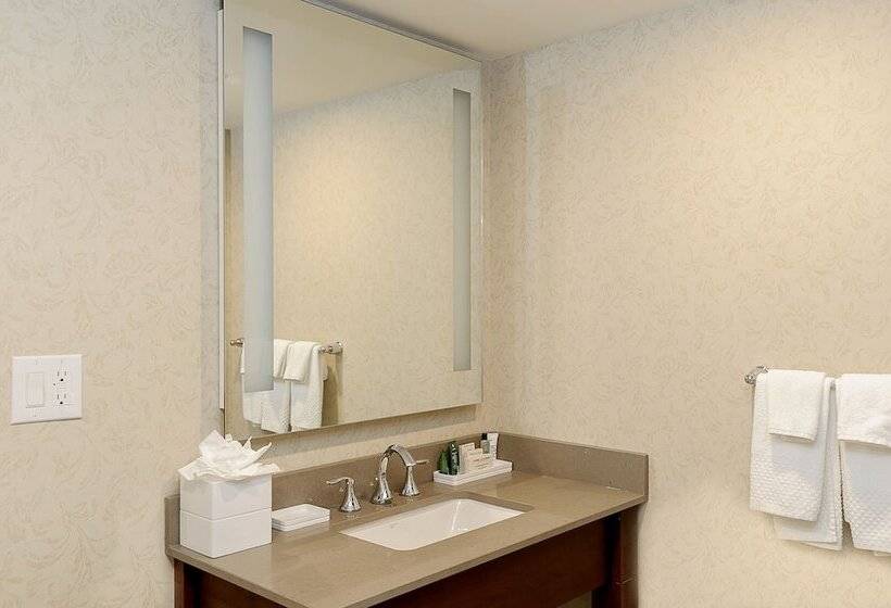 带双人床的标准工作室, Hilton Niagara Falls/fallsview Hotel & Suites