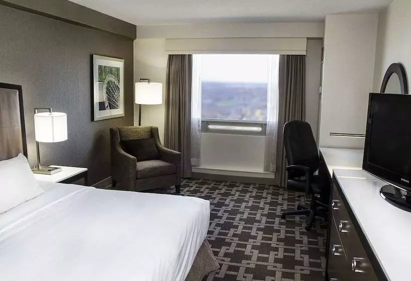 اتاق عادی با تخت دوبل, Hilton Niagara Falls/fallsview Hotel & Suites
