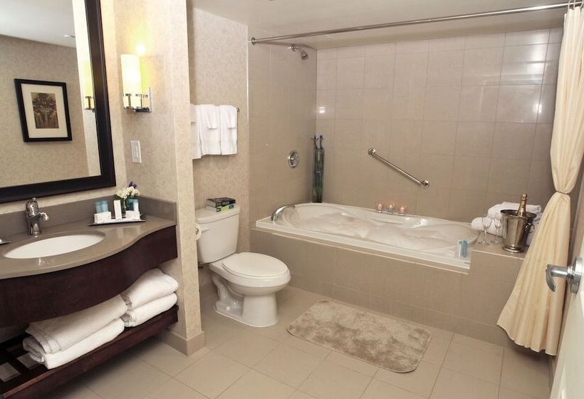 带双人床的标准工作室, Hilton Niagara Falls/fallsview Hotel & Suites