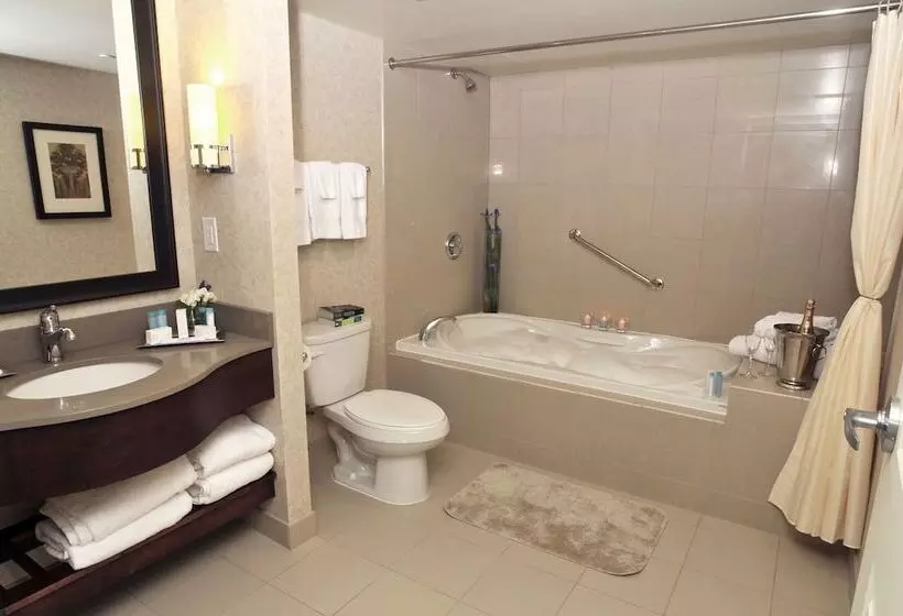 استودیوی استاندارد با تخت دوبل, Hilton Niagara Falls/fallsview Hotel & Suites