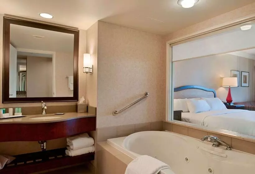 اتاق استاندارد با تخت دوبل و چشم‌انداز, Hilton Niagara Falls/fallsview Hotel & Suites