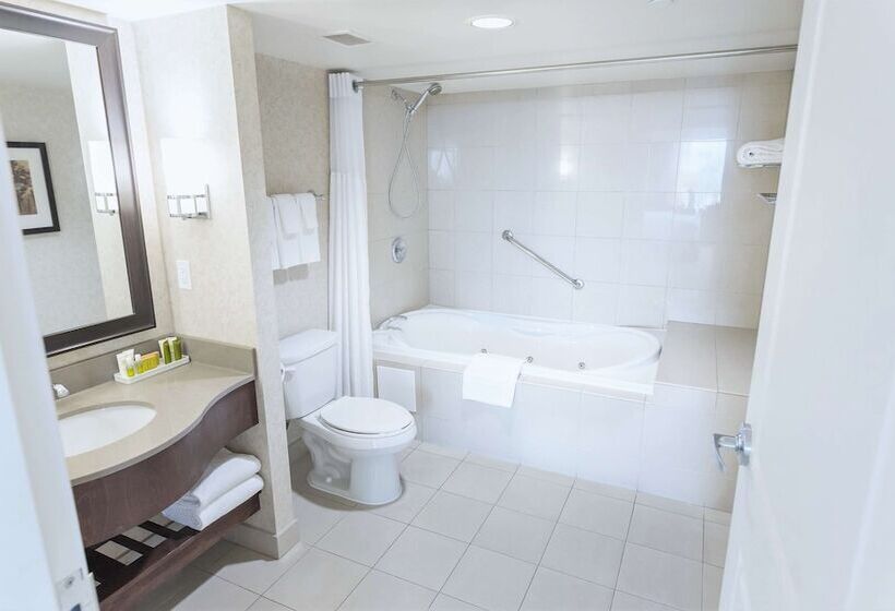 带景观的带双人床的标准间, Hilton Niagara Falls/fallsview Hotel & Suites