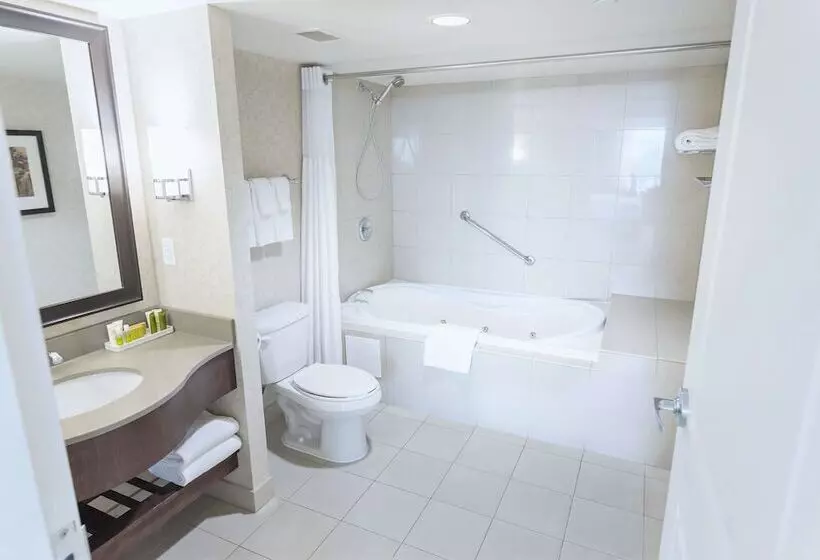 اتاق استاندارد با تخت دوبل و چشم‌انداز, Hilton Niagara Falls/fallsview Hotel & Suites