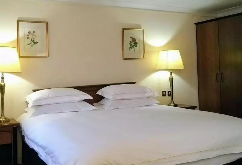 Executive Single Room, Lord Bagenal Inn