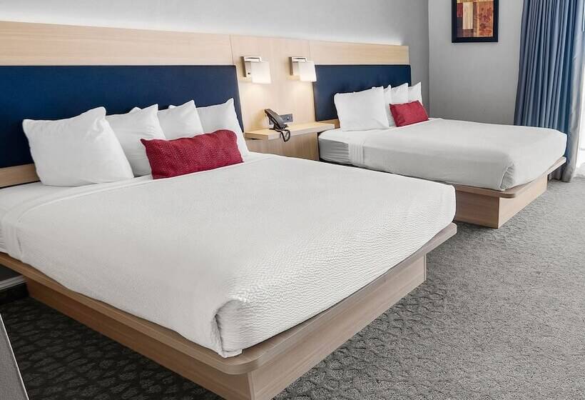 スタンダードルーム, The Live