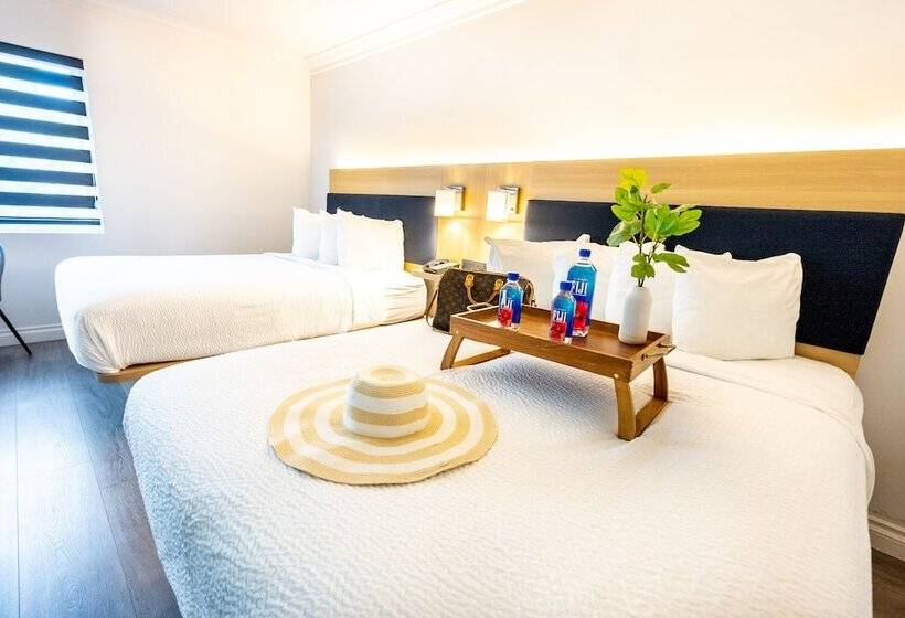 غرفة قياسية, The Live