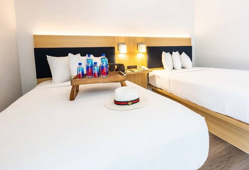 スタンダードルーム, The Live