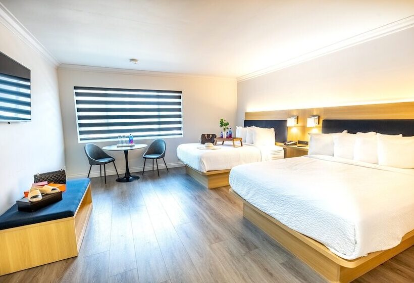 スタンダードルーム, The Live