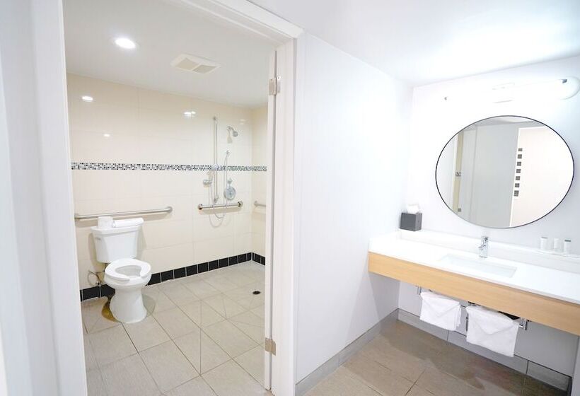 غرفة قياسية, The Live