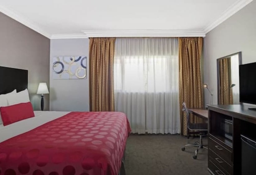 غرفة قياسية, The Live