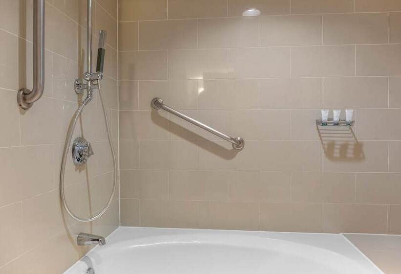 デラックスルーム, The Westin Fort Lauderdale