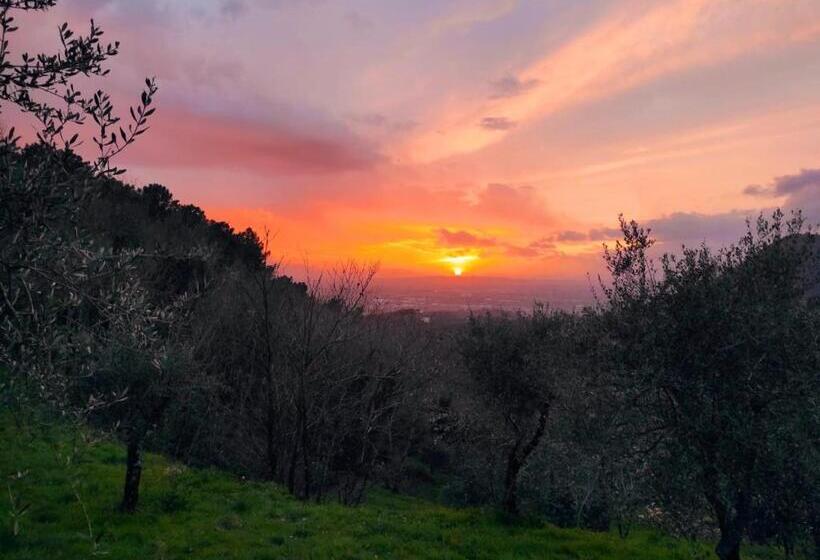 デラックスルーム, Podere Rosso Baccarà   Bed & Breakfast