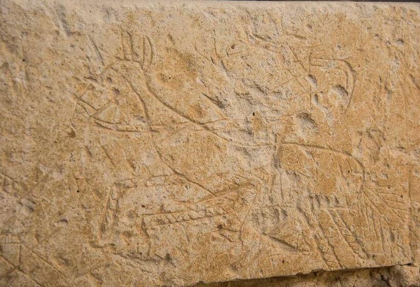 주니어 스위트, Castello Di Casamassella