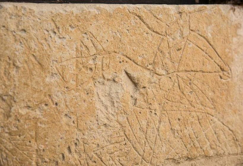 주니어 스위트, Castello Di Casamassella