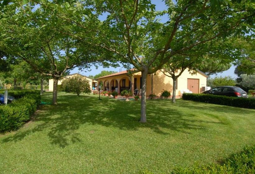 标准工作室, Il Girasole