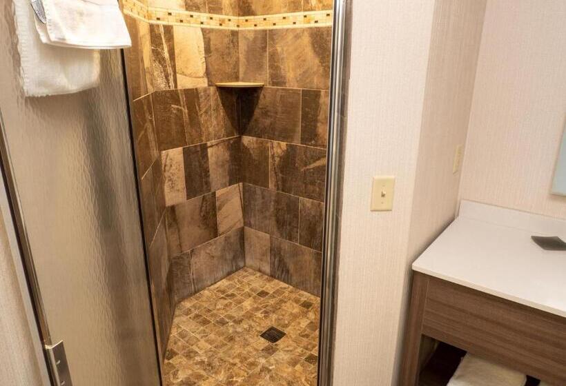 جناح مطل على البحيرة, Grand Superior Lodge