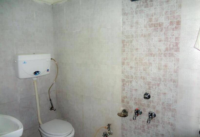 חדר אקונומי, Parvati Palace Sehore