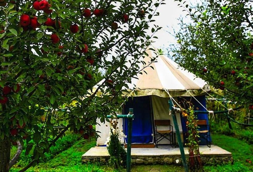 Standard Tent, Banjara Camp And Retreat Sangla