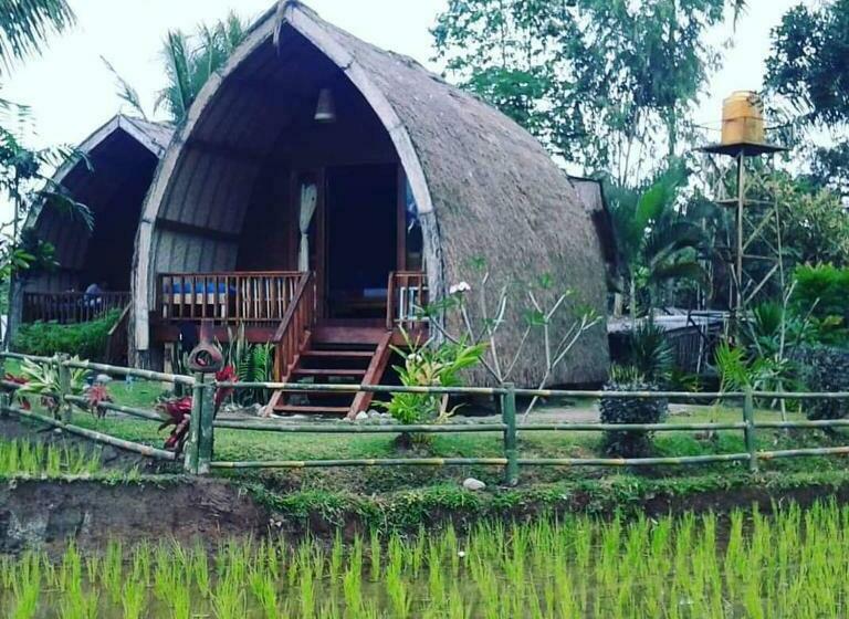 Deluxe Rum, Hakiki Inn Bungalows