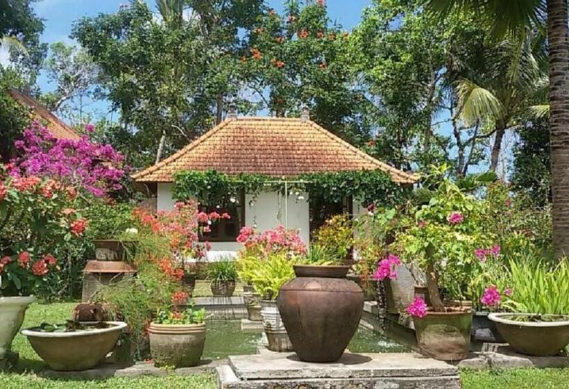 סטודיו דלוקס, Bukit Asri Lodge