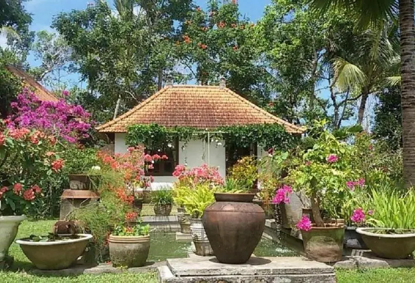 デラックススタジオ, Bukit Asri Lodge